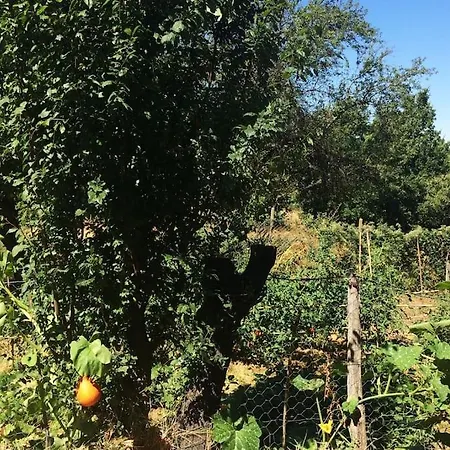 Cascina Baracico, Stanza Della Pace 度假居 Rocca Grimalda