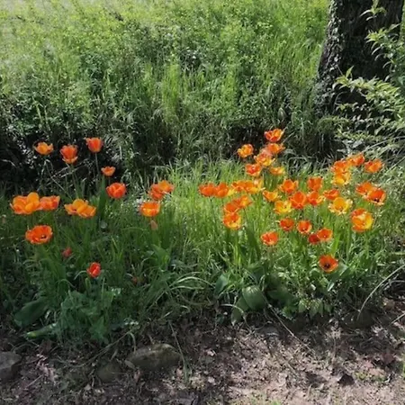Cascina Baracico, Stanza Della Pace Rocca Grimalda