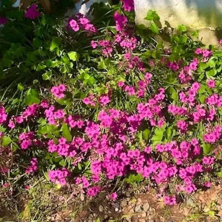 度假居 Cascina Baracico, Stanza Della Pace Rocca Grimalda